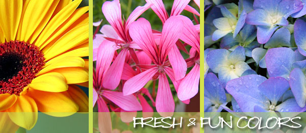 Hobby Hill Florist, your flower shop in Sebring Florida