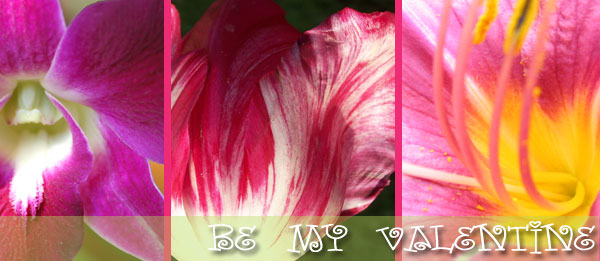 Hobby Hill Florist, your flower shop in Sebring Florida