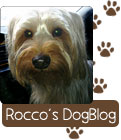 Check in with Rocco at Hobby Hill Florist