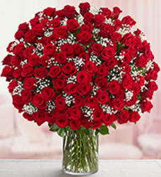 100 Red Roses in a Vase from your Sebring, Florida florist