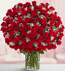 100 Red Roses in a Vase from your Sebring, Florida florist