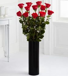 Grand Dozen Red Roses from your Sebring, Florida florist