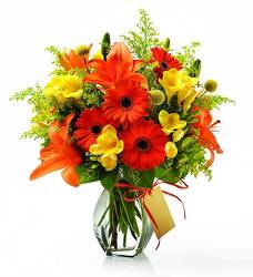 Lovely Fall from your Sebring, Florida florist