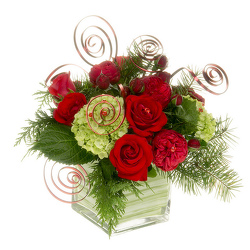 Merry Christmas Squared from your Sebring, Florida florist