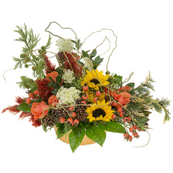Fall Favorites from your Sebring, Florida florist