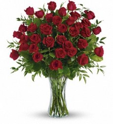 Three dozen red roses arranged from your Sebring, Florida florist