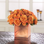 Opulent Orange Roses from your Sebring, Florida florist
