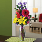 Cheery & Bright from your Sebring, Florida florist