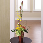Tropical Adventure from your Sebring, Florida florist
