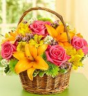 Fields of Europe in a Willow Basket from your Sebring, Florida florist