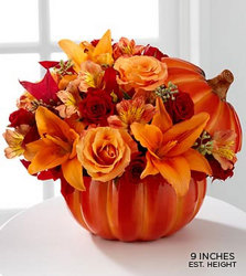 Thanksgiving Harvest Pumpkin from your Sebring, Florida florist