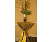 Tropical Paradise from your Sebring, Florida florist