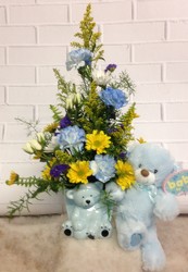 Baby Bear Blue from your Sebring, Florida florist