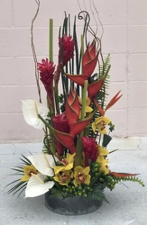 Perfectly Tropical from your Sebring, Florida florist