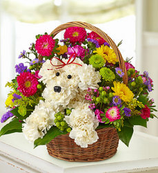 a-DOG-able in a Basket from your Sebring, Florida florist
