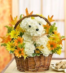 a-DOG-able For Fall from your Sebring, Florida florist