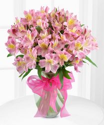 Alstroemeria Vase Bouquet from your Sebring, Florida florist