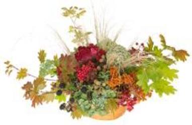 Decidedly Autumn from your Sebring, Florida florist