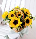 Basket of Sunshine from your Sebring, Florida florist
