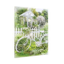 Lighted Bicycle Garden Canvas from your Sebring, Florida florist