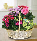 Blooming Garden from your Sebring, Florida florist
