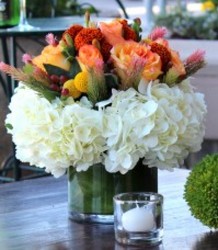 Hydrangea Heaven from your Sebring, Florida florist