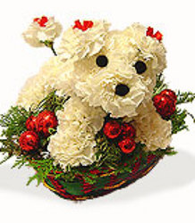 Happy Howlyday from your Sebring, Florida florist