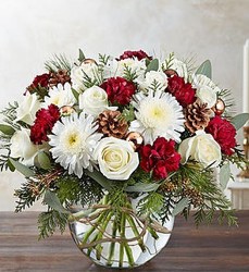 Lovely Christmas Greetings from your Sebring, Florida florist