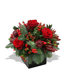 Christmas Cubed from your Sebring, Florida florist