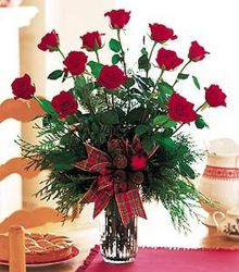 A Dozen Red Roses With Evergreens from your Sebring, Florida florist