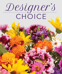 Designer's Choice from your Sebring, Florida florist