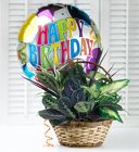 Birthday Dish Garden from your Sebring, Florida florist