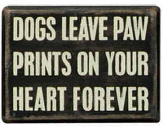 Dog Paw Prints Box Sign from your Sebring, Florida florist