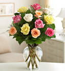 Dozen Mixed Roses Arranged
