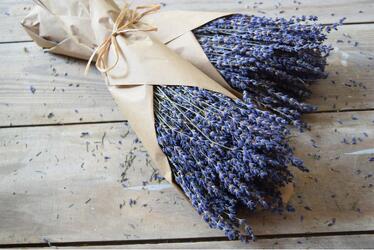 Dried Lavender Bundle from your Sebring, Florida florist
