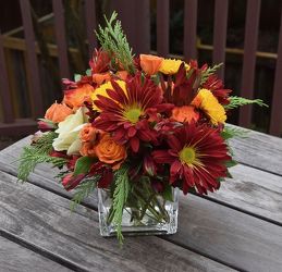Fall Cube from your Sebring, Florida florist