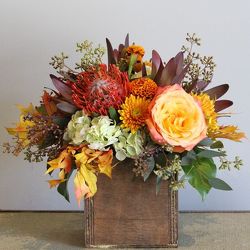 Feel Warm and Beautiful from your Sebring, Florida florist