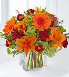Tranquil from your Sebring, Florida florist