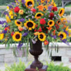 Stately Autumn Urn from your Sebring, Florida florist