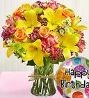 Fields of Europe Happy Birthday