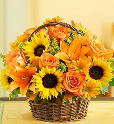 Fields of Europe Fall Basket from your Sebring, Florida florist