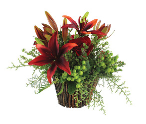 Finally Fall from your Sebring, Florida florist