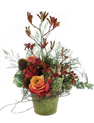 Forest from your Sebring, Florida florist