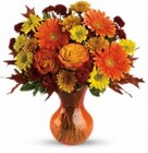 Forever Fall from your Sebring, Florida florist