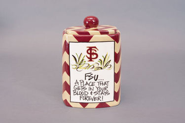 FSU Canister from your Sebring, Florida florist