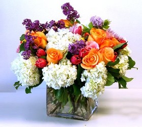 Vibrant  from your Sebring, Florida florist