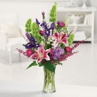 Stargazer Garden from your Sebring, Florida florist