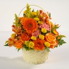 Sunshine Surprise from your Sebring, Florida florist