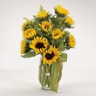 Sunflower Fields from your Sebring, Florida florist