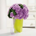 Classy Carnations from your Sebring, Florida florist